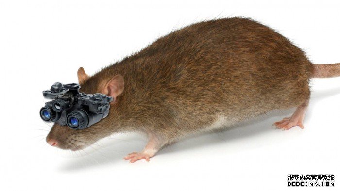 night-vision-mouse-1280x720.jpg